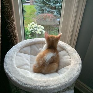 Meet your Posher, Julie